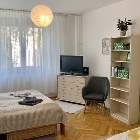 Mermaid House Apartman Daire Segedin Dış mekan fotoğraf